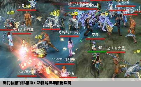 蜀门私服飞机辅助：功能解析与使用指南