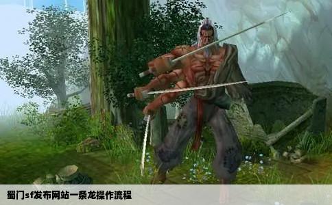 蜀门sf发布网站一条龙操作流程