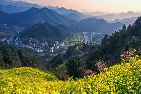 司法局工作总结